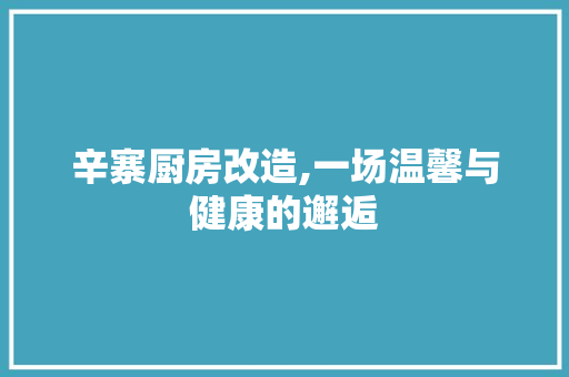 辛寨厨房改造,一场温馨与健康的邂逅