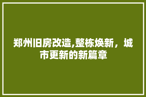 郑州旧房改造,整栋焕新，城市更新的新篇章