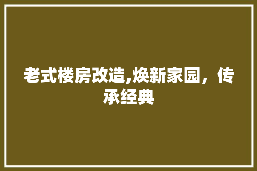 老式楼房改造,焕新家园，传承经典