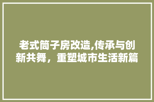 老式筒子房改造,传承与创新共舞，重塑城市生活新篇章