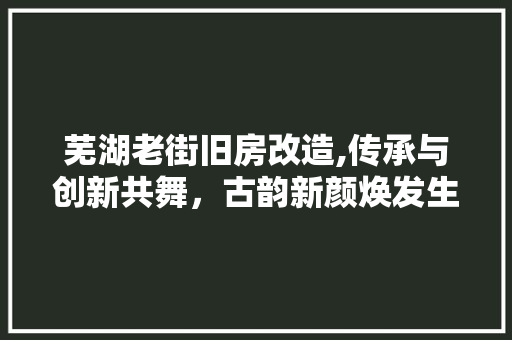 芜湖老街旧房改造,传承与创新共舞，古韵新颜焕发生机