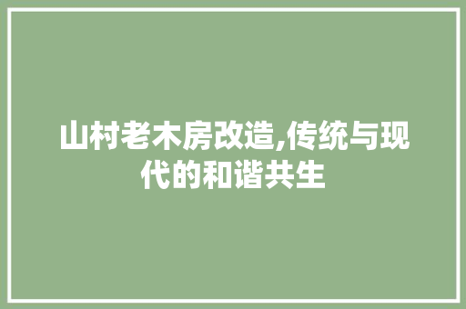 山村老木房改造,传统与现代的和谐共生