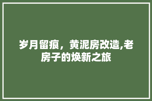 岁月留痕，黄泥房改造,老房子的焕新之旅
