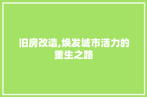 旧房改造,焕发城市活力的重生之路