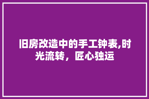 旧房改造中的手工钟表,时光流转，匠心独运