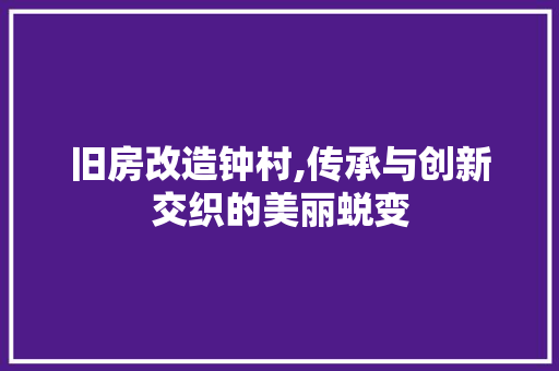 旧房改造钟村,传承与创新交织的美丽蜕变