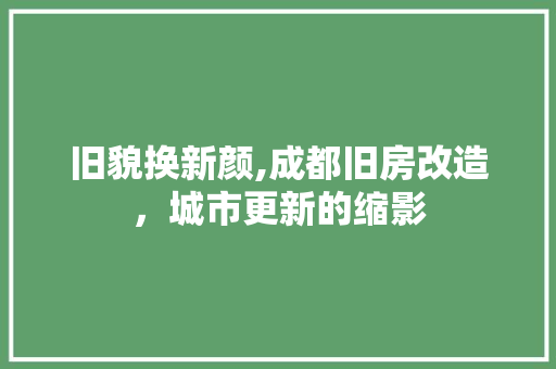 旧貌换新颜,成都旧房改造，城市更新的缩影