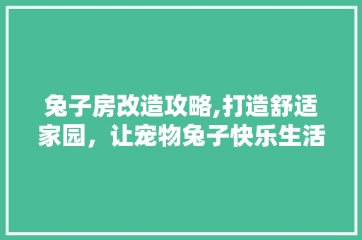兔子房改造攻略,打造舒适家园，让宠物兔子快乐生活