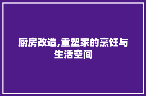 厨房改造,重塑家的烹饪与生活空间