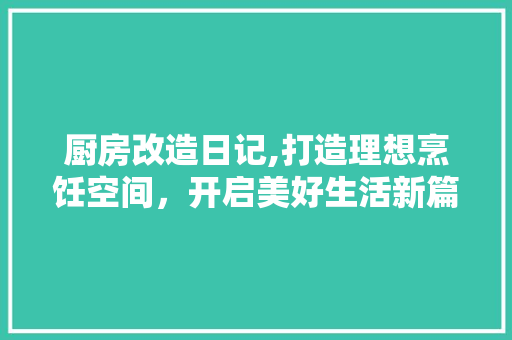 厨房改造日记,打造理想烹饪空间，开启美好生活新篇章