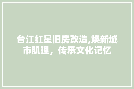 台江红星旧房改造,焕新城市肌理，传承文化记忆
