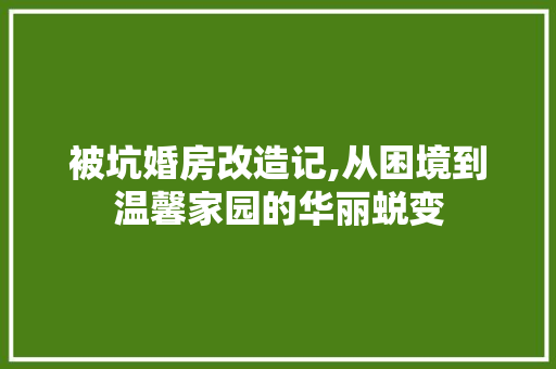 被坑婚房改造记,从困境到温馨家园的华丽蜕变