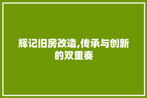 辉记旧房改造,传承与创新的双重奏