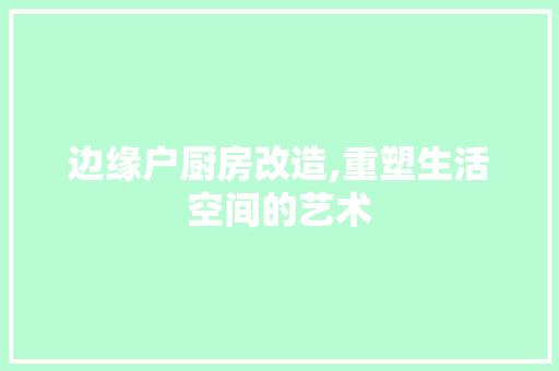 边缘户厨房改造,重塑生活空间的艺术