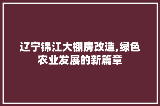 辽宁锦江大棚房改造,绿色农业发展的新篇章