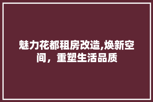 魅力花都租房改造,焕新空间，重塑生活品质