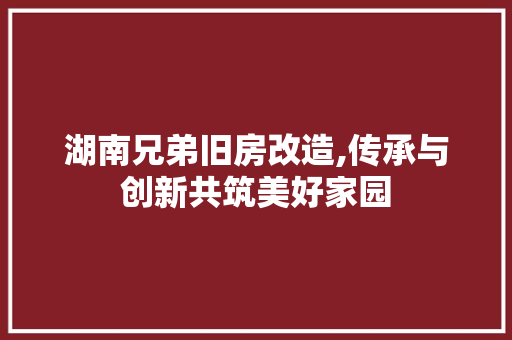 湖南兄弟旧房改造,传承与创新共筑美好家园