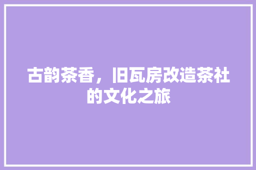 古韵茶香，旧瓦房改造茶社的文化之旅