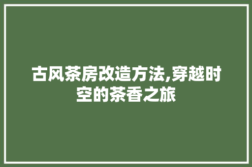 古风茶房改造方法,穿越时空的茶香之旅