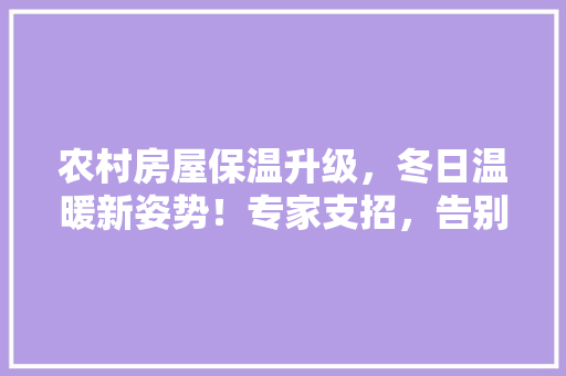 农村房屋保温升级，冬日温暖新姿势！专家支招，告别寒冷冬季