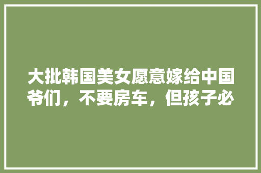 厨房改造,打造理想烹饪空间的艺术之旅