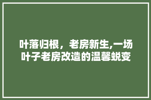 叶落归根，老房新生,一场叶子老房改造的温馨蜕变