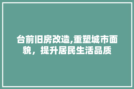 台前旧房改造,重塑城市面貌，提升居民生活品质