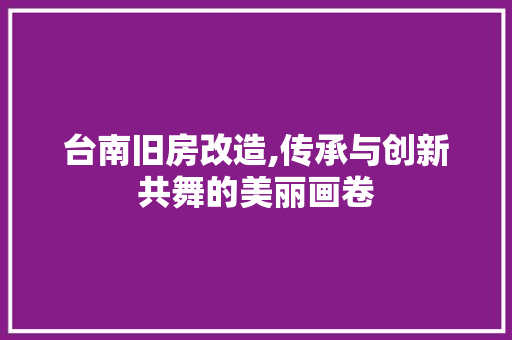 台南旧房改造,传承与创新共舞的美丽画卷