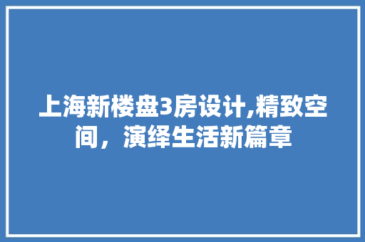 上海新楼盘3房设计,精致空间，演绎生活新篇章