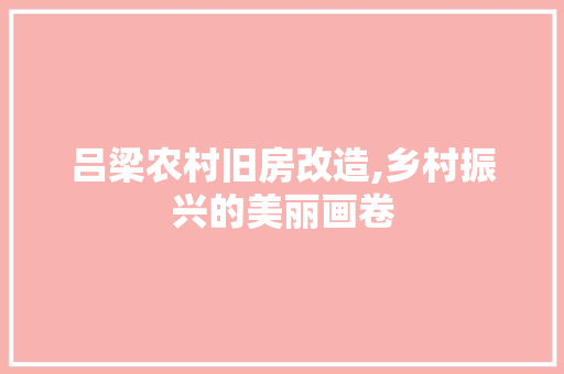 吕梁农村旧房改造,乡村振兴的美丽画卷