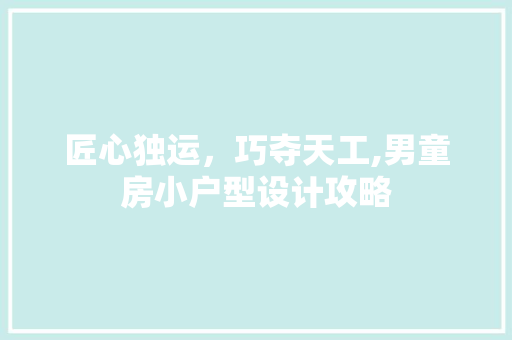 匠心独运，巧夺天工,男童房小户型设计攻略