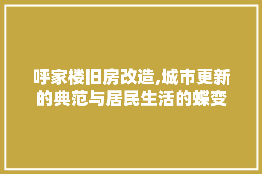 呼家楼旧房改造,城市更新的典范与居民生活的蝶变