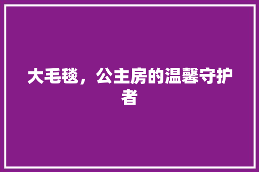 大毛毯，公主房的温馨守护者