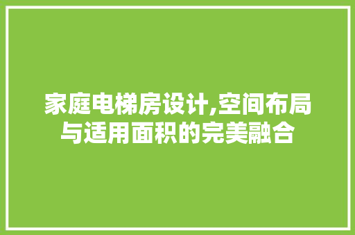 家庭电梯房设计,空间布局与适用面积的完美融合