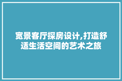 宽景客厅探房设计,打造舒适生活空间的艺术之旅