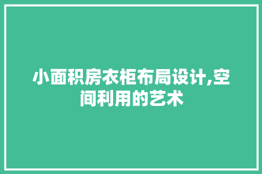 小面积房衣柜布局设计,空间利用的艺术