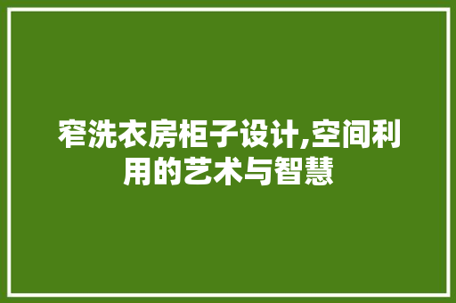 窄洗衣房柜子设计,空间利用的艺术与智慧