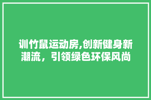 训竹鼠运动房,创新健身新潮流，引领绿色环保风尚