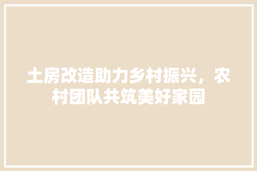 土房改造助力乡村振兴，农村团队共筑美好家园
