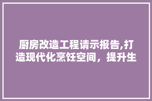 厨房改造工程请示报告,打造现代化烹饪空间，提升生活品质