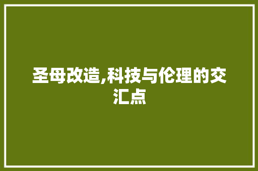 圣母改造,科技与伦理的交汇点
