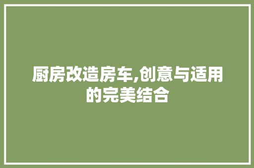 厨房改造房车,创意与适用的完美结合