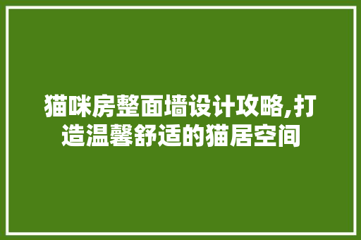 猫咪房整面墙设计攻略,打造温馨舒适的猫居空间