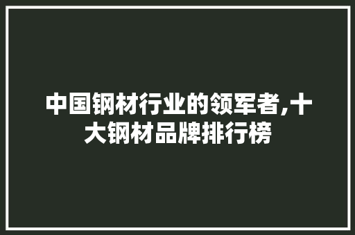 中国钢材行业的领军者,十大钢材品牌排行榜