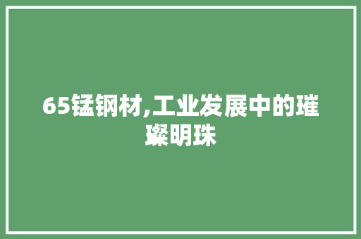 65锰钢材,工业发展中的璀璨明珠
