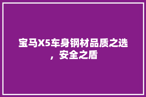宝马X5车身钢材品质之选，安全之盾