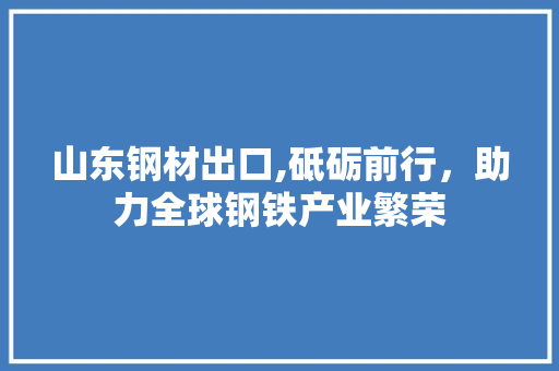 山东钢材出口,砥砺前行，助力全球钢铁产业繁荣