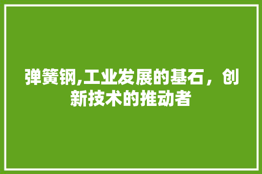 弹簧钢,工业发展的基石，创新技术的推动者