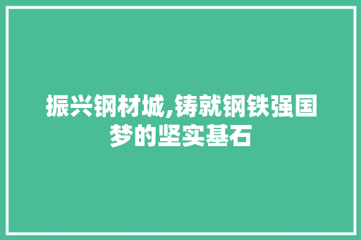 振兴钢材城,铸就钢铁强国梦的坚实基石