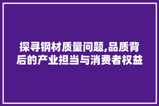 探寻钢材质量问题,品质背后的产业担当与消费者权益保障
